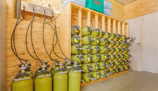 Diving Center Haliotis São Vicente - Cape Verd Diving Center Haliotis São Vicente - Cape Verd