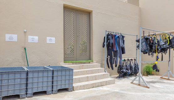 Diving Center Haliotis São Vicente - Cape Verd Diving Center Haliotis São Vicente - Cape Verd